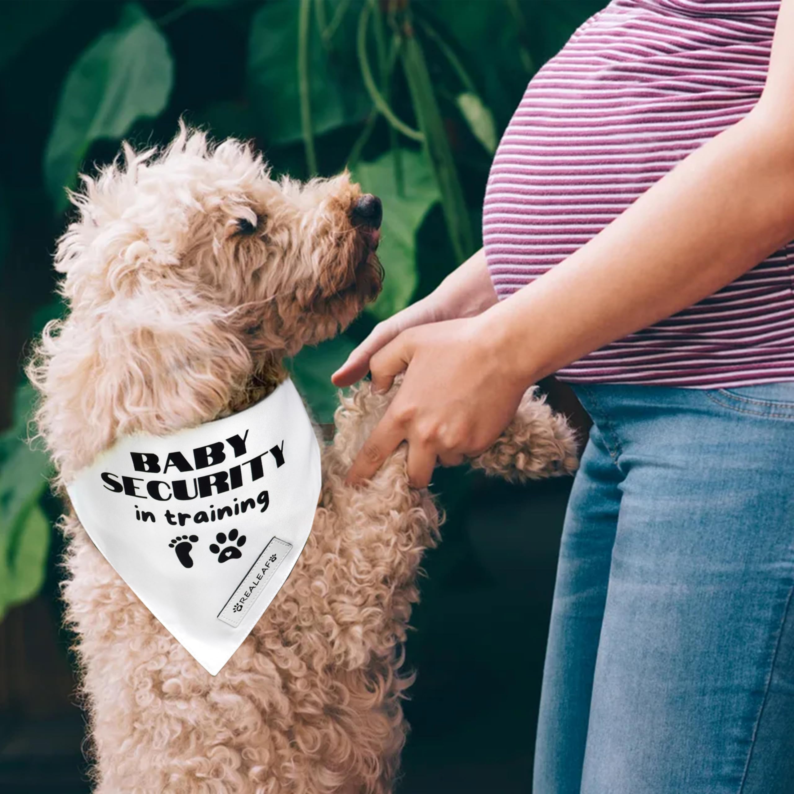 Bandana Realeaf con tres tallas para cuellos de perros, ajuste cómodo.