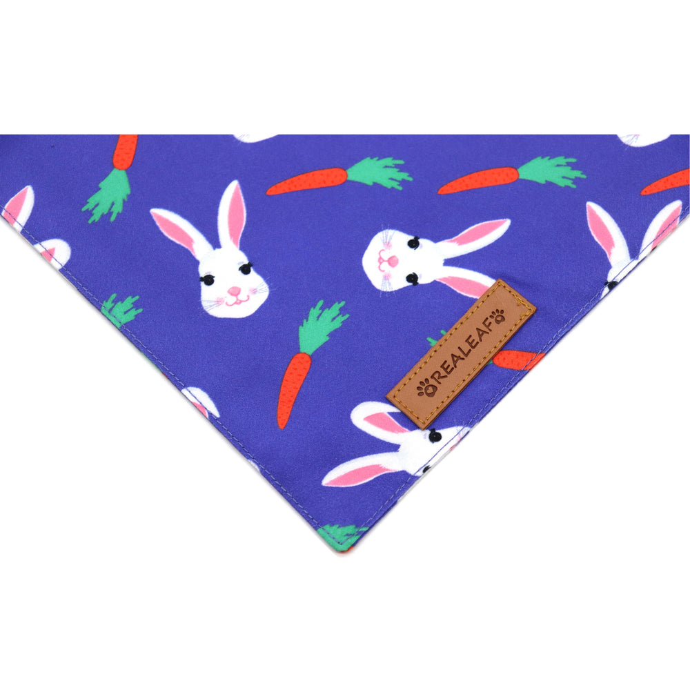 Bandana Realeaf Pascua para perro con diseño huevos de Pascua, perfecto para fotos.