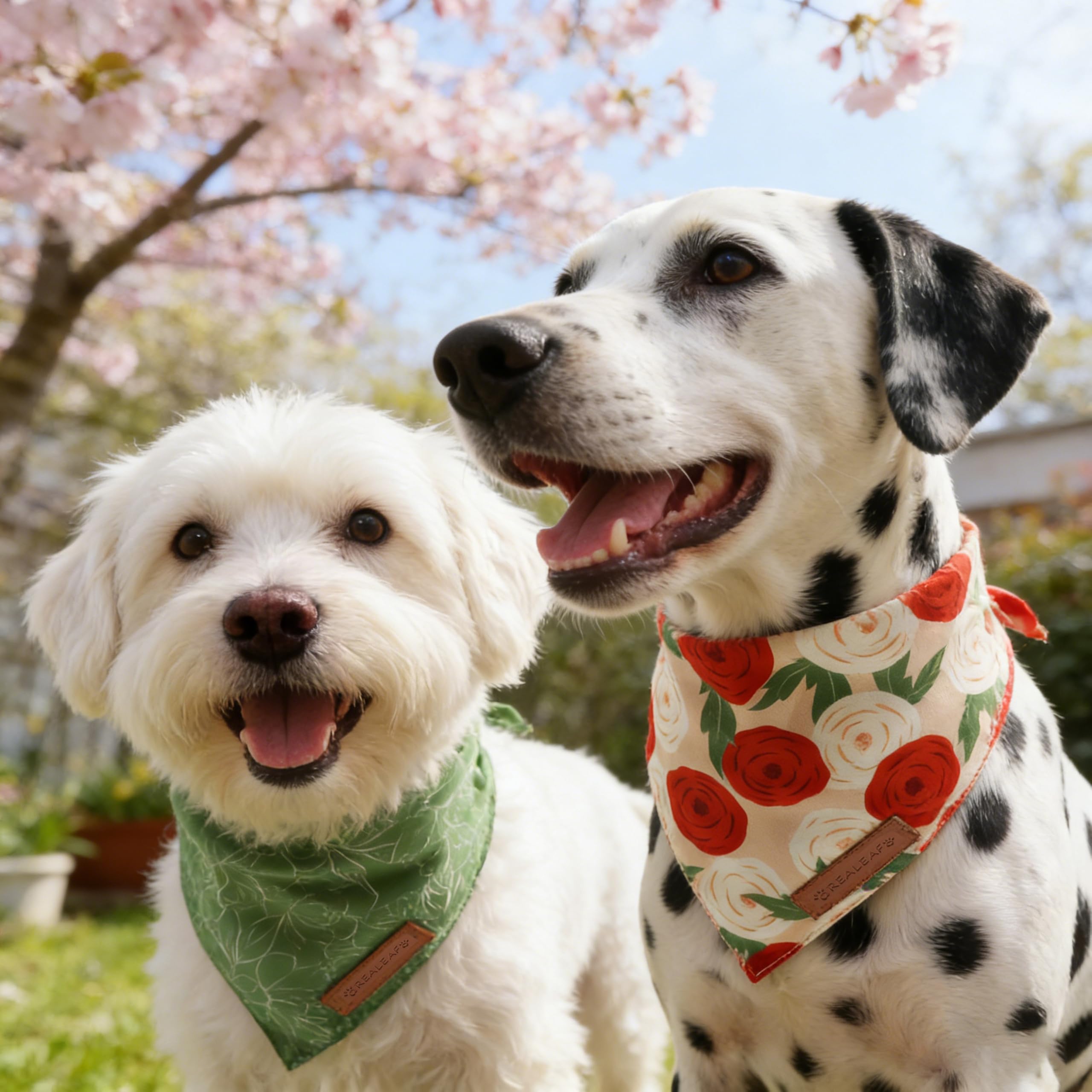 Acabado suave y duradero de bandanas Realeaf para mascotas.