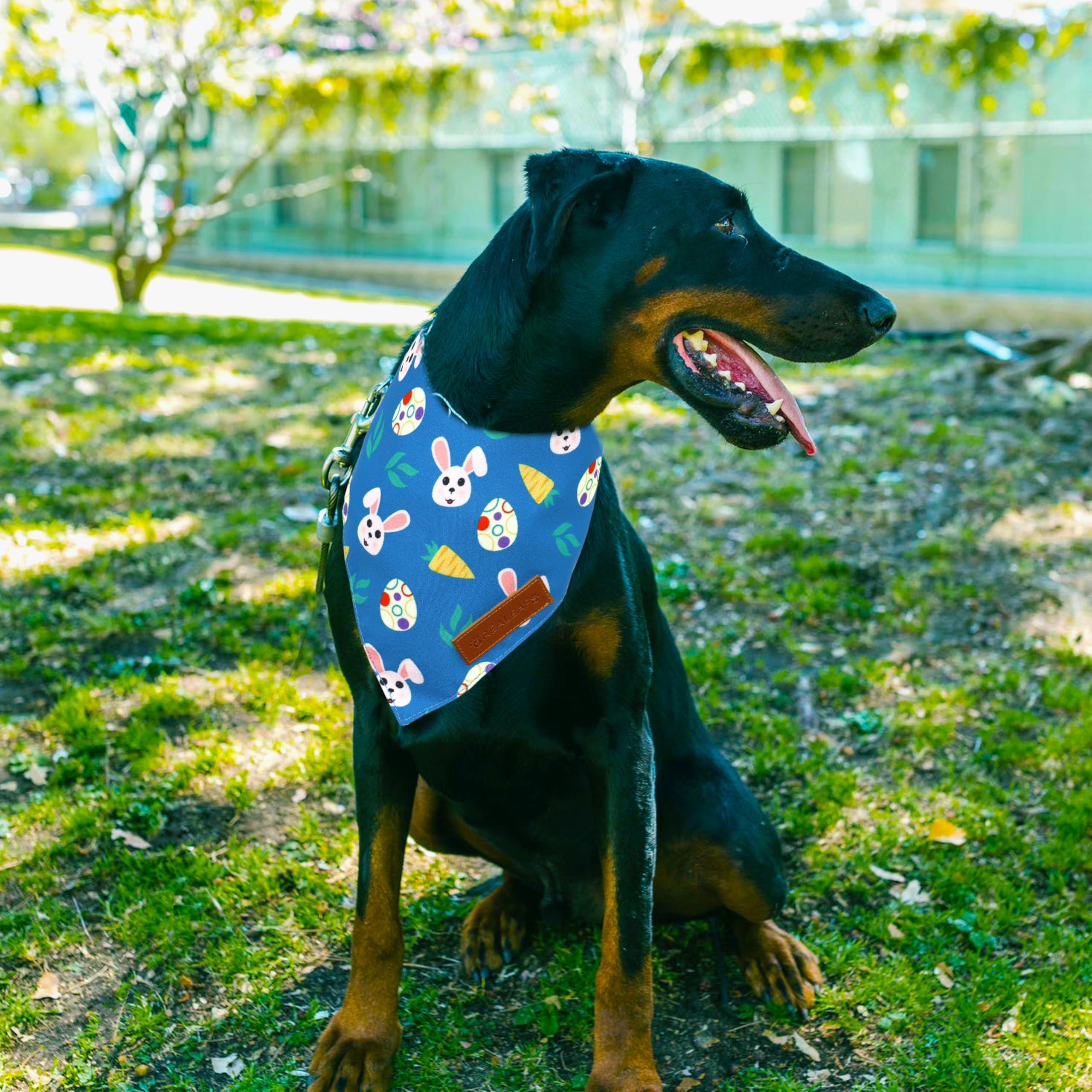 Bandana Realeaf para perro Pascua tejido-duradero: material resistente para uso diario.