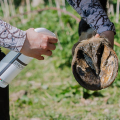 Red Horse Stronghorn, envases EcoFill listos para reducir residuos y ahorrar recursos.