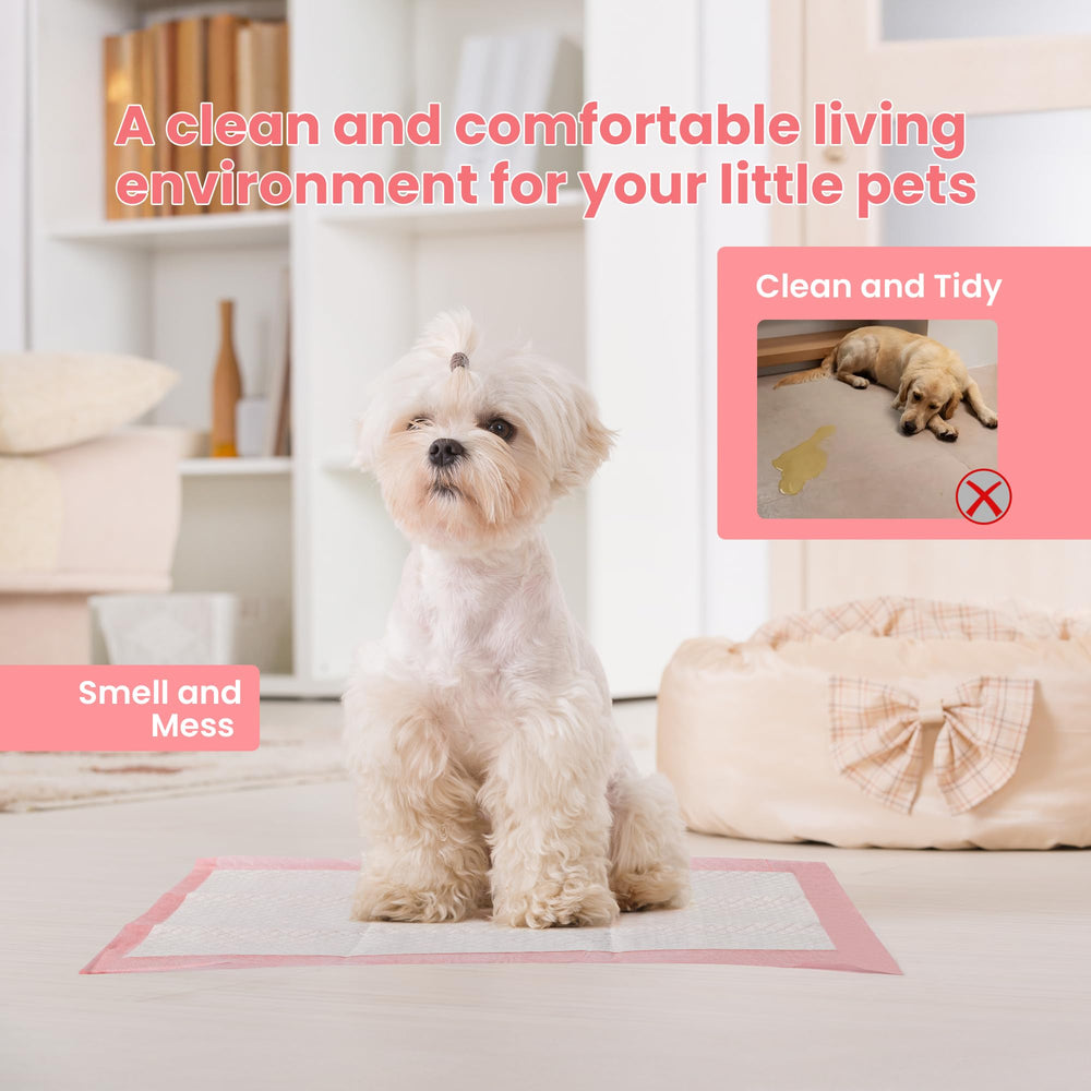 Red Rabbits control de olor con tecnología avanzada para interiores