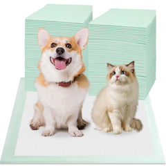 Red Rabbits entrenamientos perros 24x24, ideales para entrenar y reducir accidentes en casa.