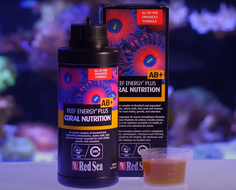 Red Sea Reef Energy Plus puede usarse sin refrigeracion hasta una semana.