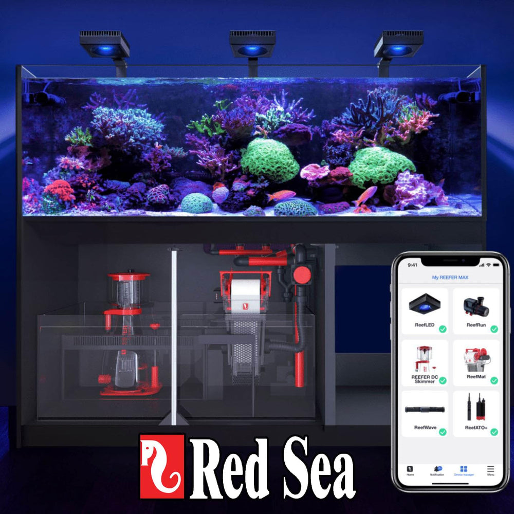 Red Sea Reef Foundation C, kit de prueba de magnesio para seguimiento.