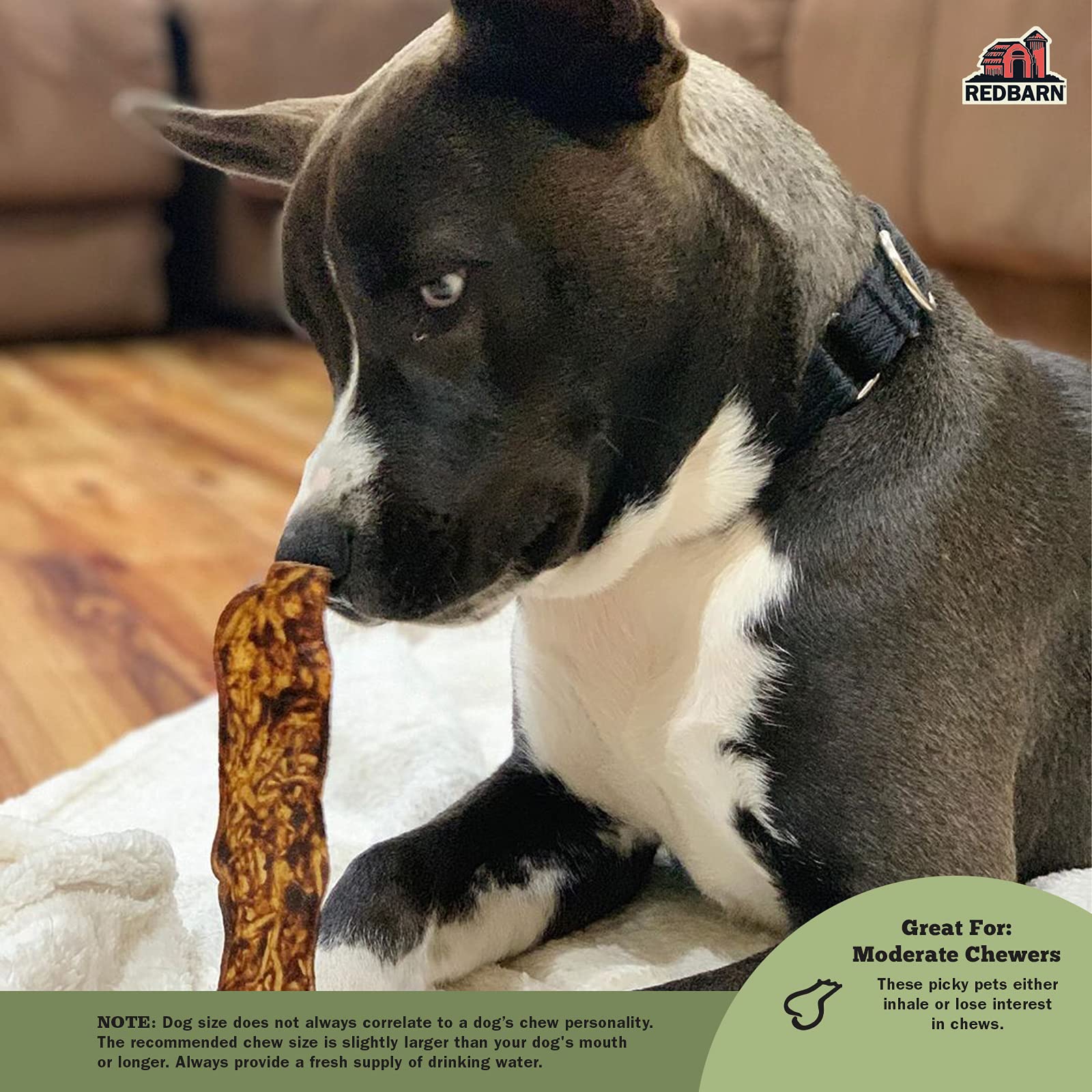 Redbarn Bully Slices: perro disfrutando, recompensa sabrosa para entrenamiento