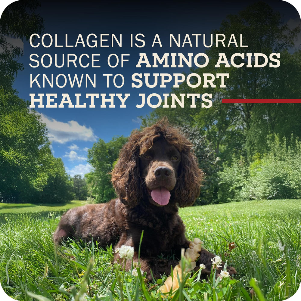 Redbarn Collagen Sticks, tamaño grande para perros activos.
