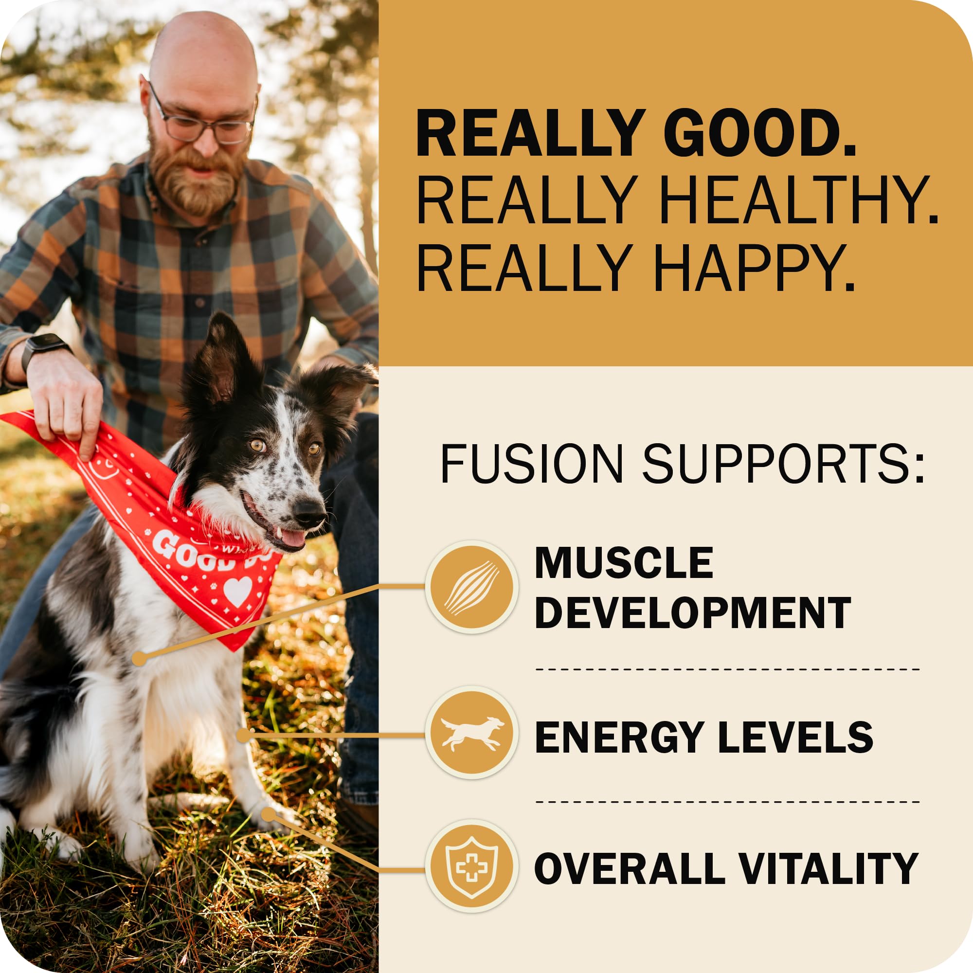 Powerfood Fusion con prebióticos y probióticos para la digestión