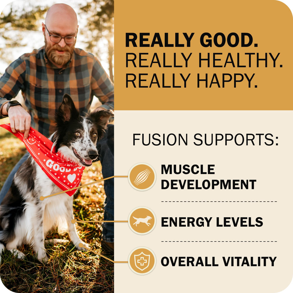 Powerfood Fusion con prebióticos y probióticos para la digestión