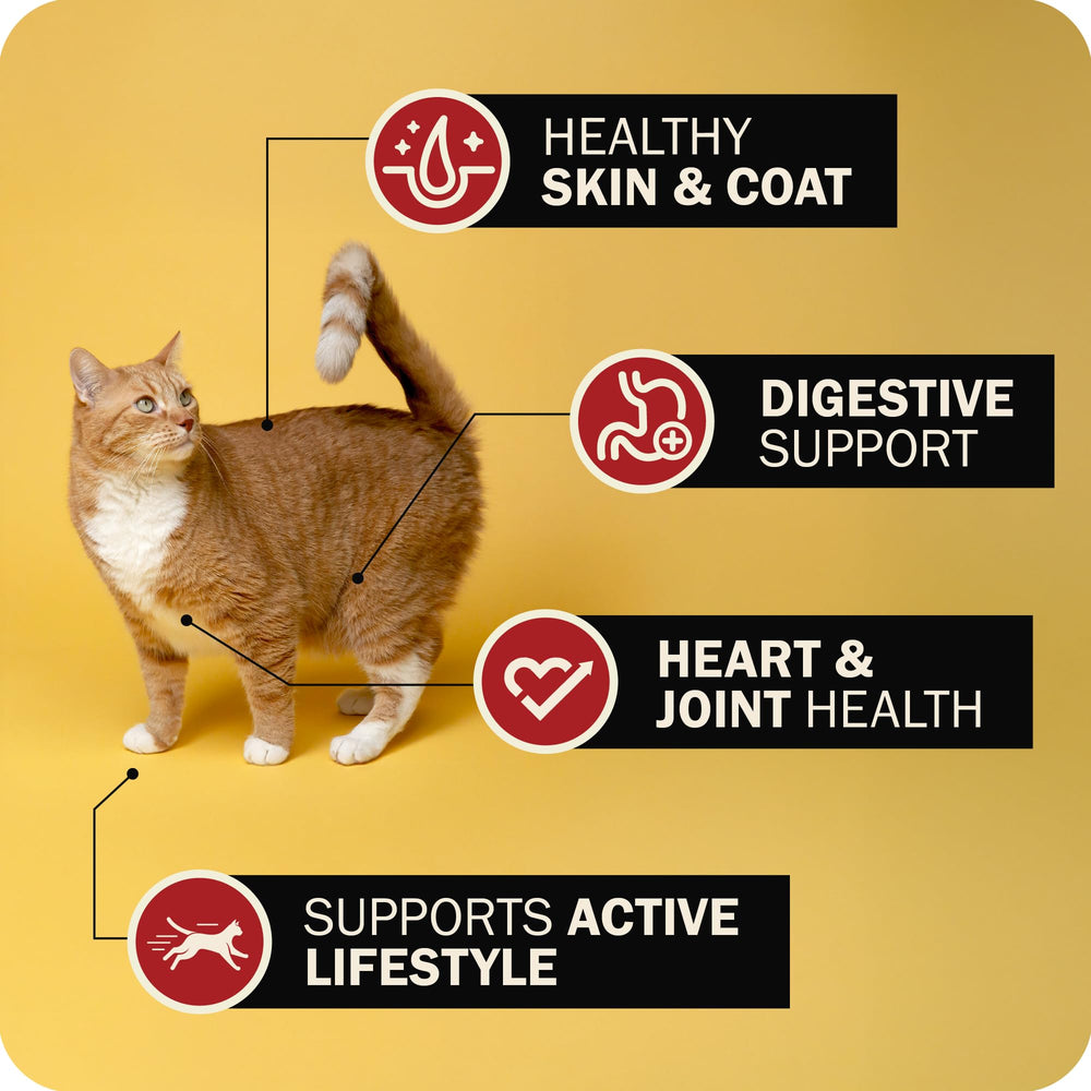 Redbarn Powerfood sin granos: opción limpia para gatos con dietas sensibles.