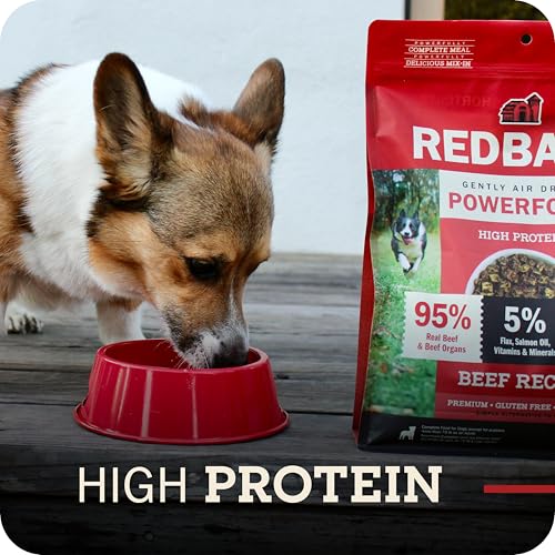 Perro disfrutando Powerfood en tazón diario.