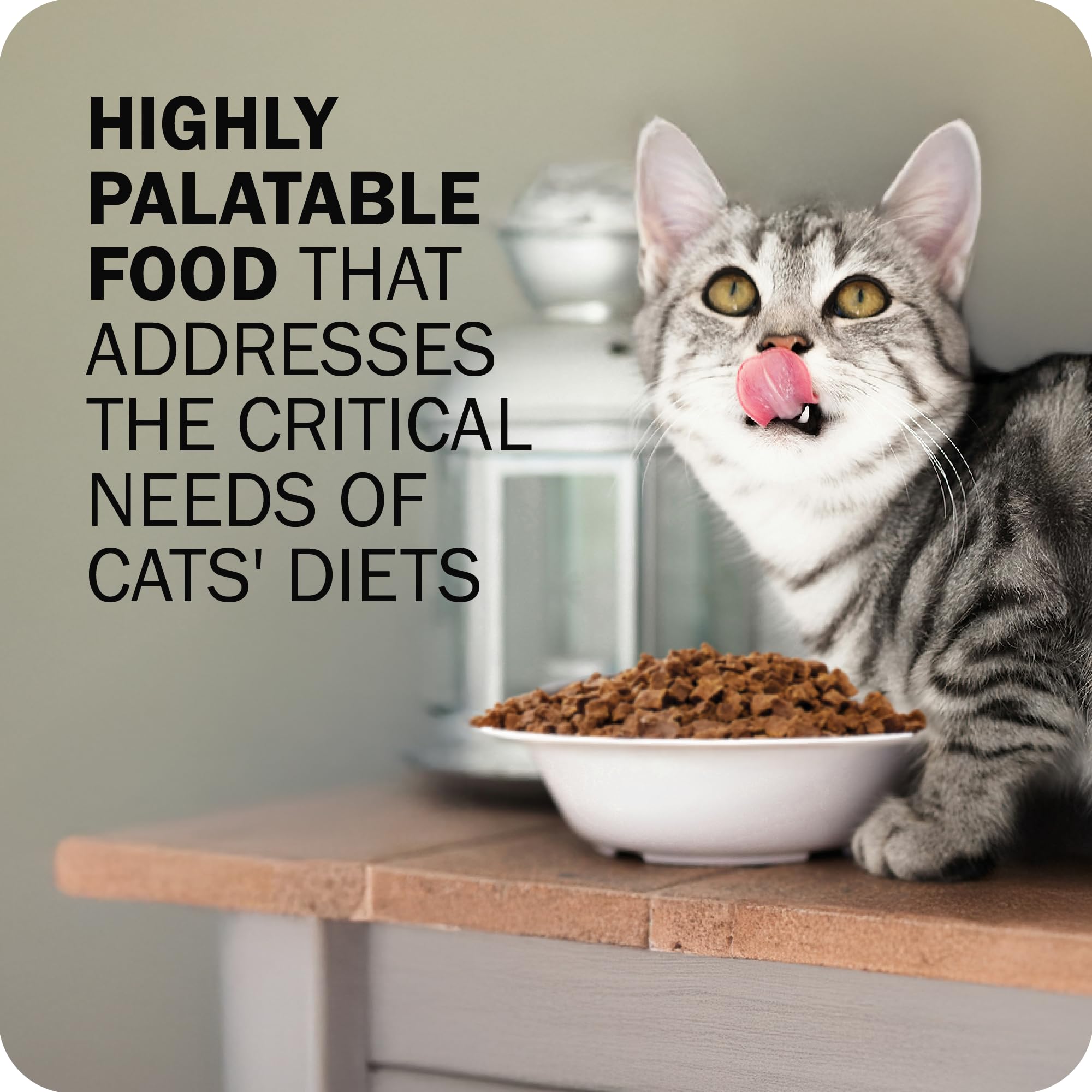 Redbarn Powerfood textura crujiente para gatos quisquillosos.
