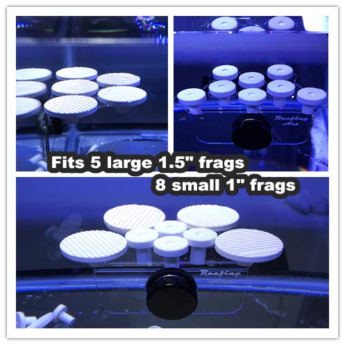 Reefing Art portafragmentos huecos de 1/2 pulgada: compatible con conectores estándar.