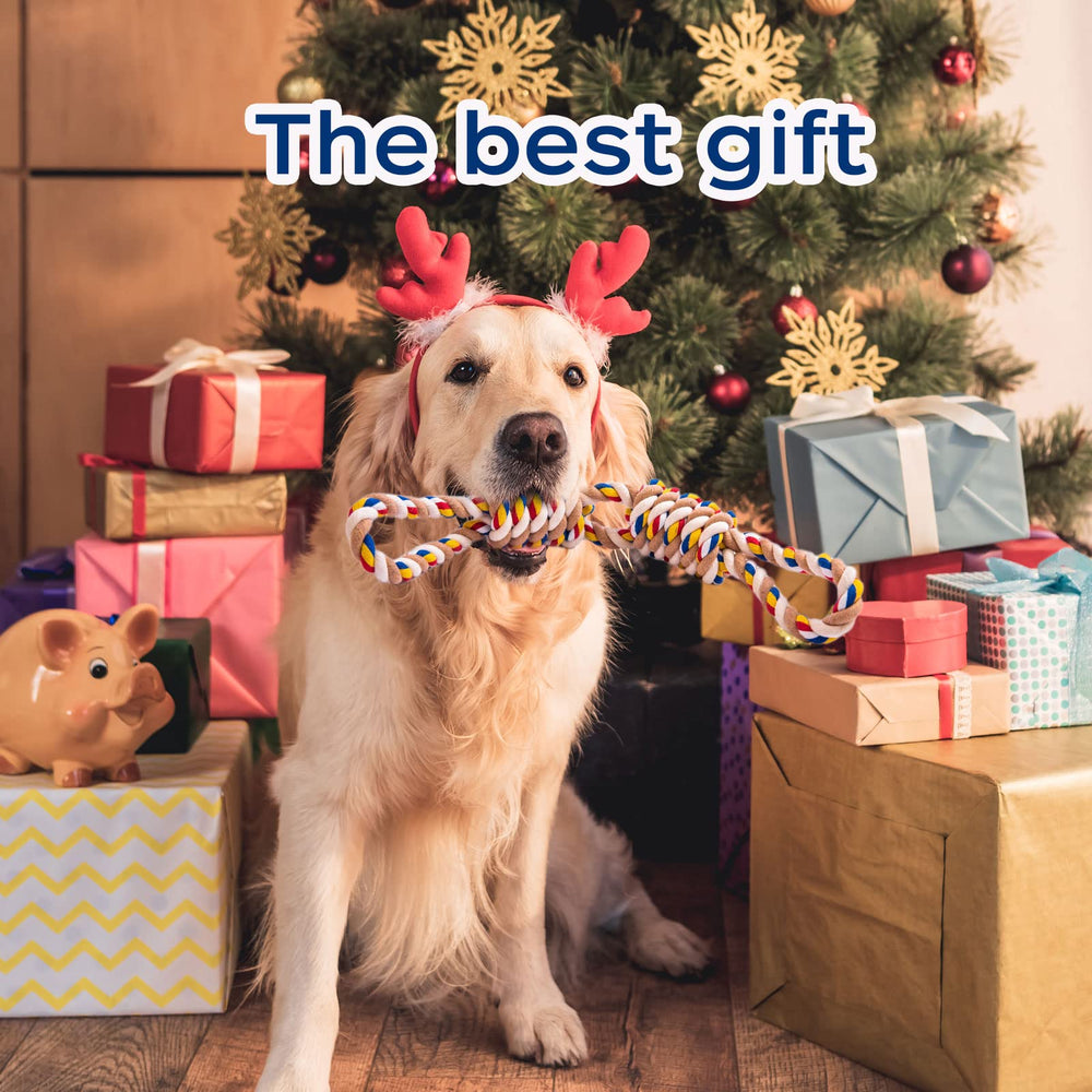 REFEVENO regalo-ideal-para-perros, perfecta para cumpleaños y fiestas