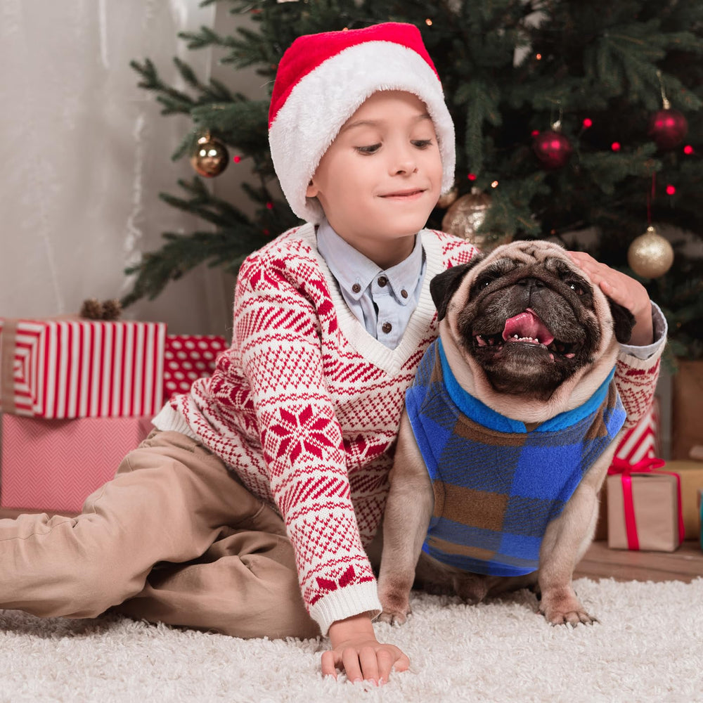 Reginary conjunto diez piezas, sudaderas diversas para perro extra grande y estilo