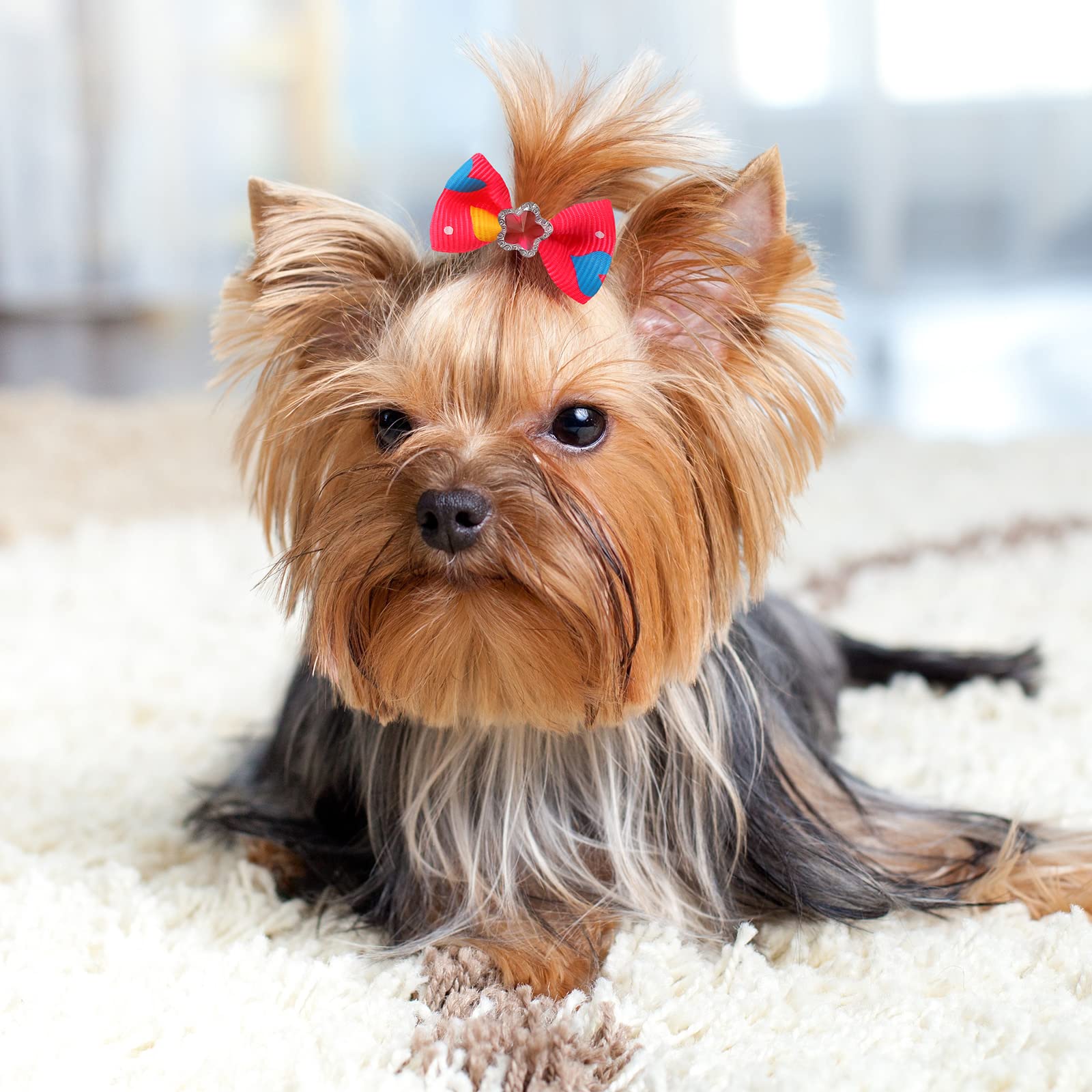 Reginary paquete de 300 lazos para mascotas, colores y estilos variados.