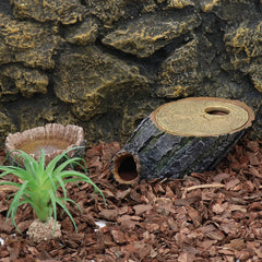 relaqcc arbol raíces cueva húmeda para reptiles y confort