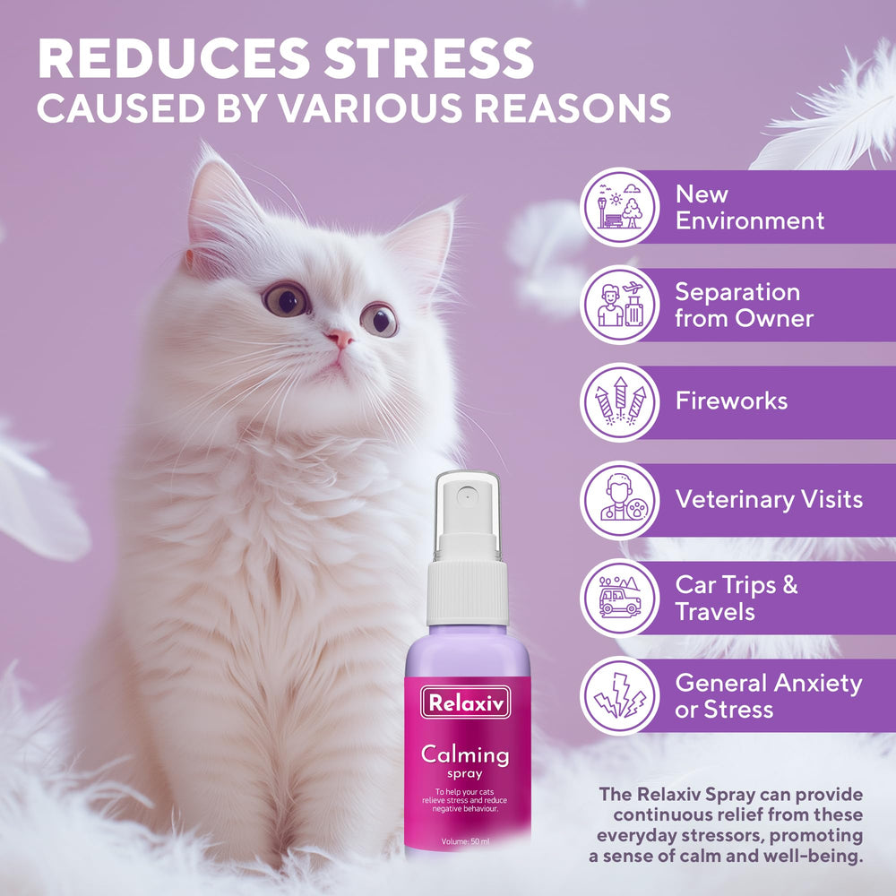 Relajivet feromona spray para gatos, ideal ante estrés y tormentas