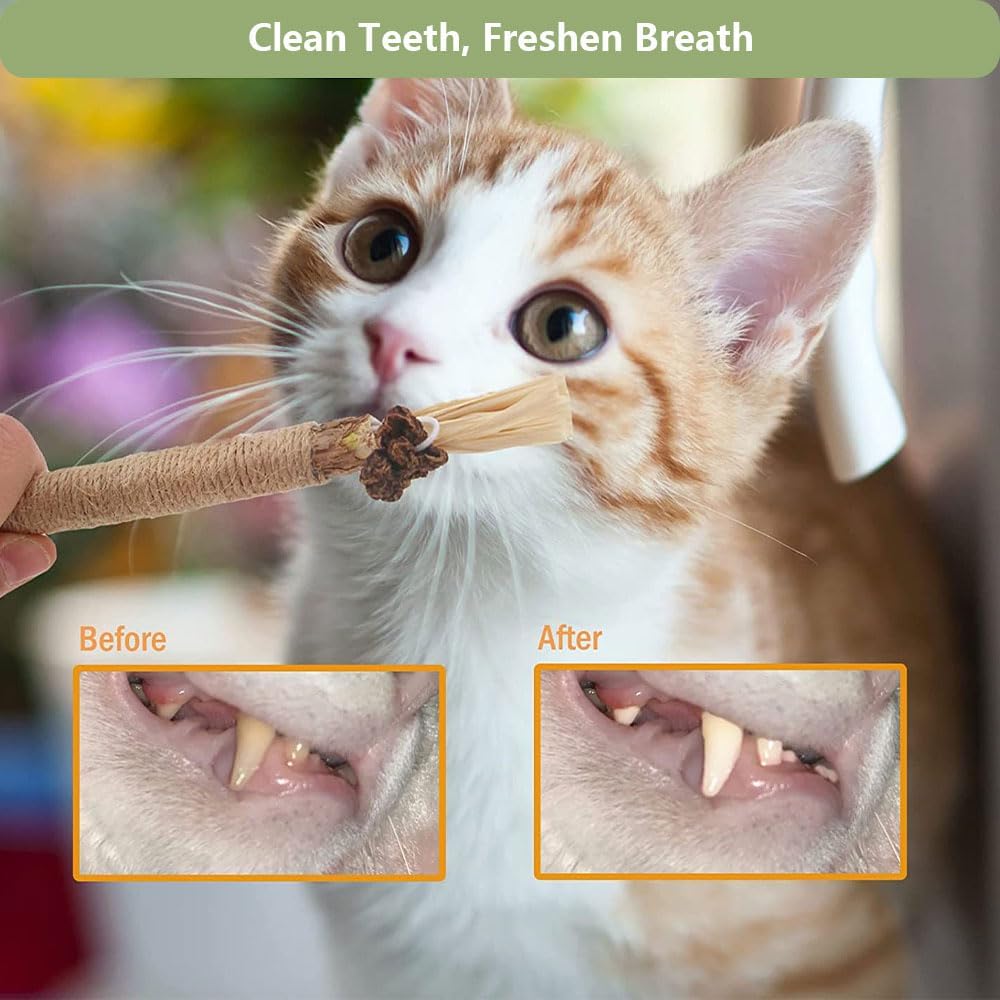 RELONGGI regalo ideal para gatos activos que muerden