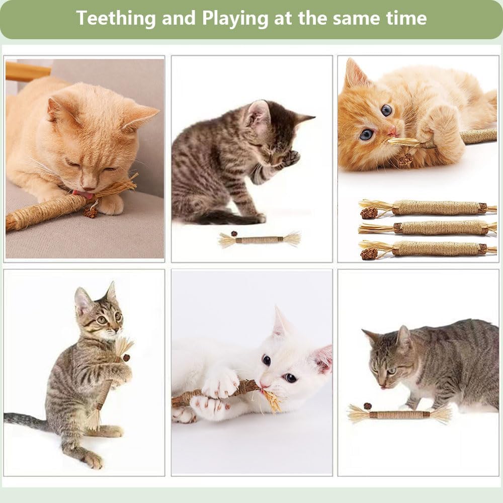 RELONGGI uso en interiores y exteriores para gatos activos