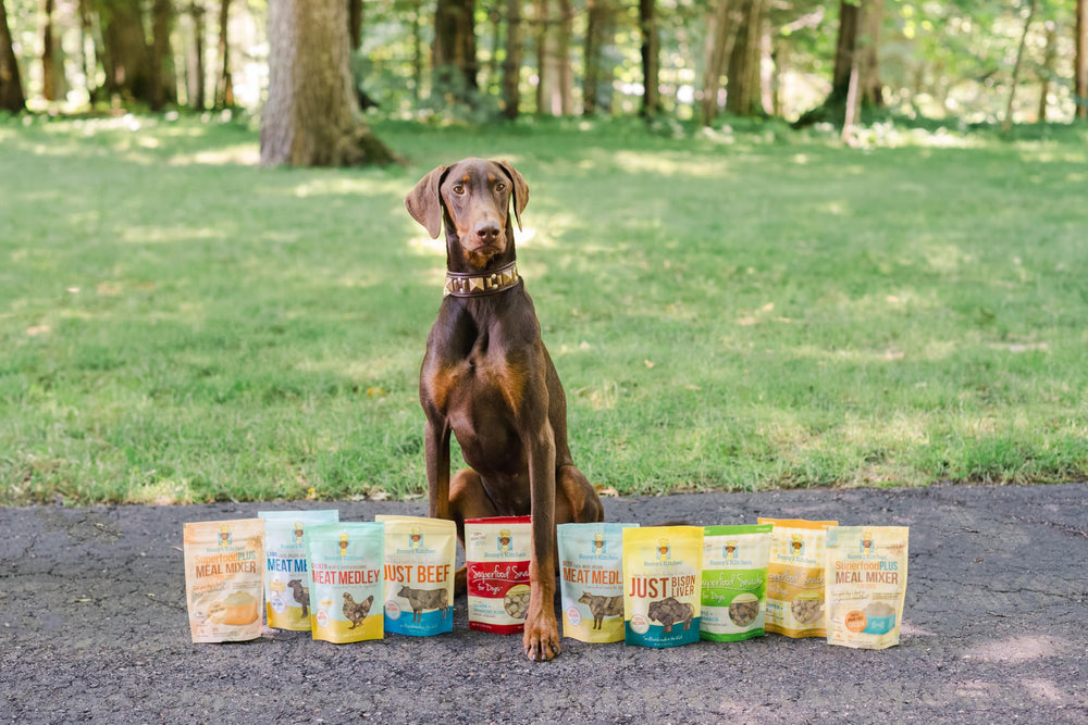 Remy’s Kitchen Meat Medley Sabores-variedad, paquete para perros y gatos.