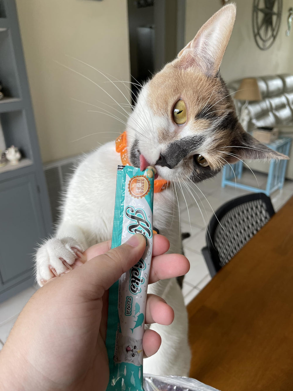 Rena's Recipe Kitty Licks thon tube purée pratique pour une friandise rapide.