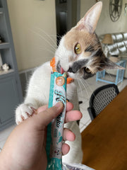 Rena's Recipe Kitty Licks thon tube purée pratique pour une friandise rapide.