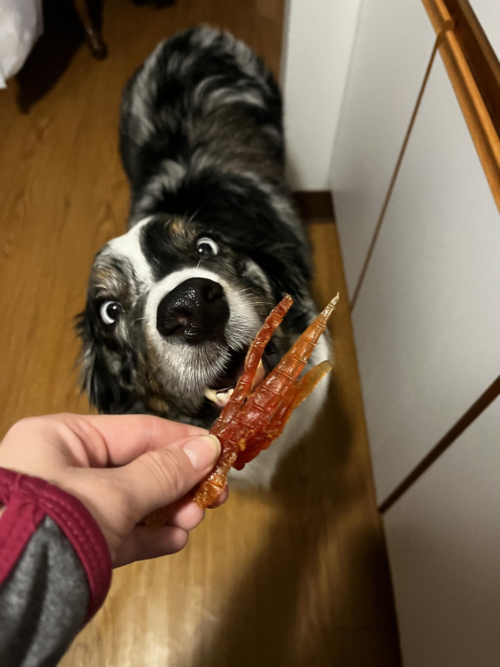 Rena's Recipe premios-para-perros-activos, sabor delicioso y proteína alta.