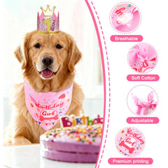 Número de cumpleaños Rensh para perros, útil para indicar la edad.