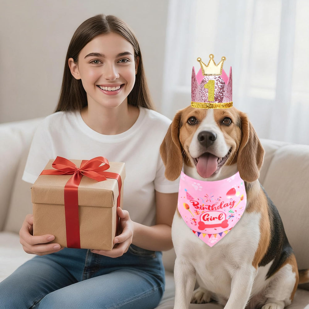 Regalo de cumpleaños para perros: conjunto festivo de Rensh para fotos memorables.