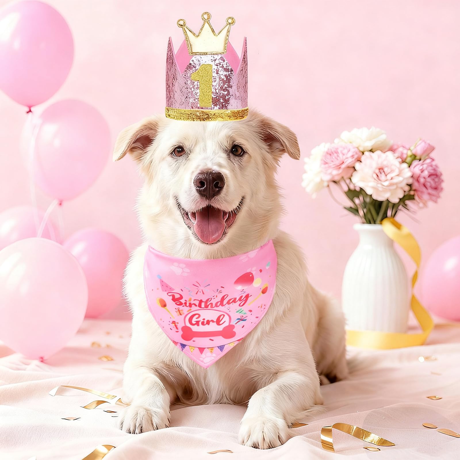 Servicio postventa rápido de Rensh para mascotas y dueños.