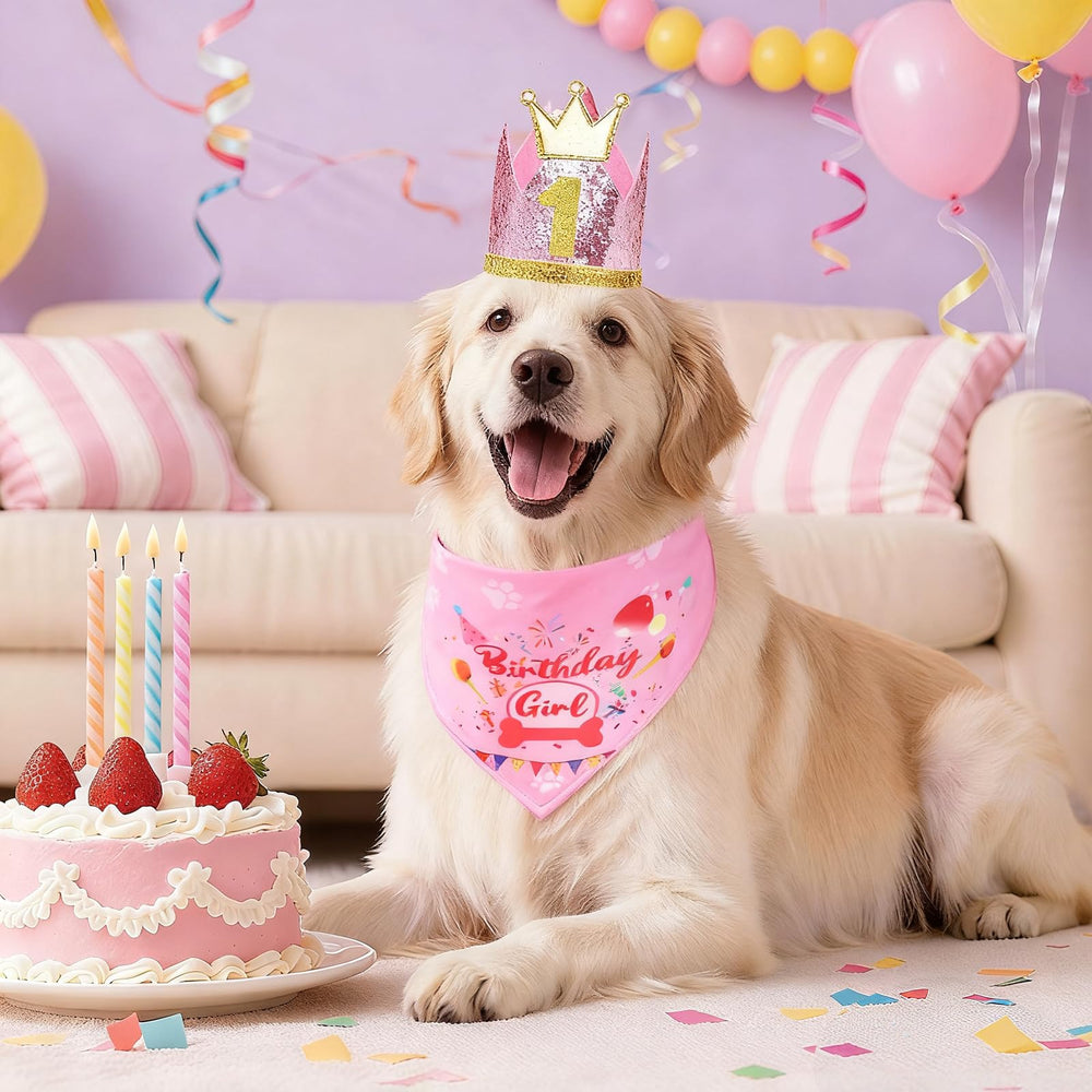 Sombrero de cumpleaños para perros Rensh, rosa, con ajuste cómodo.