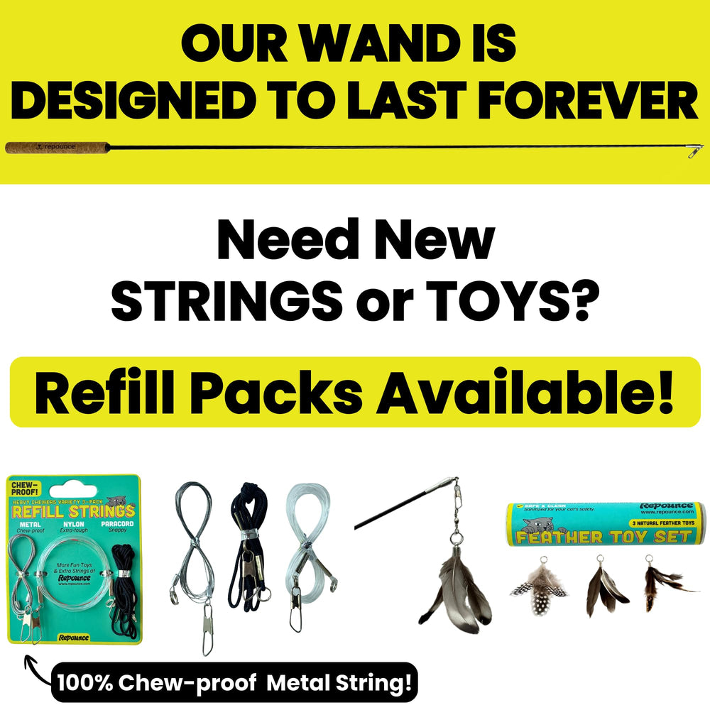 Repounce Forever Stick, juguetes pluma intercambiables para variedad de juego.