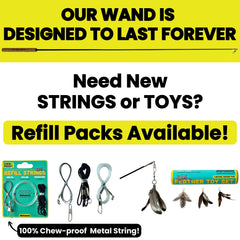 Repounce Forever Stick, juguetes pluma intercambiables para variedad de juego.