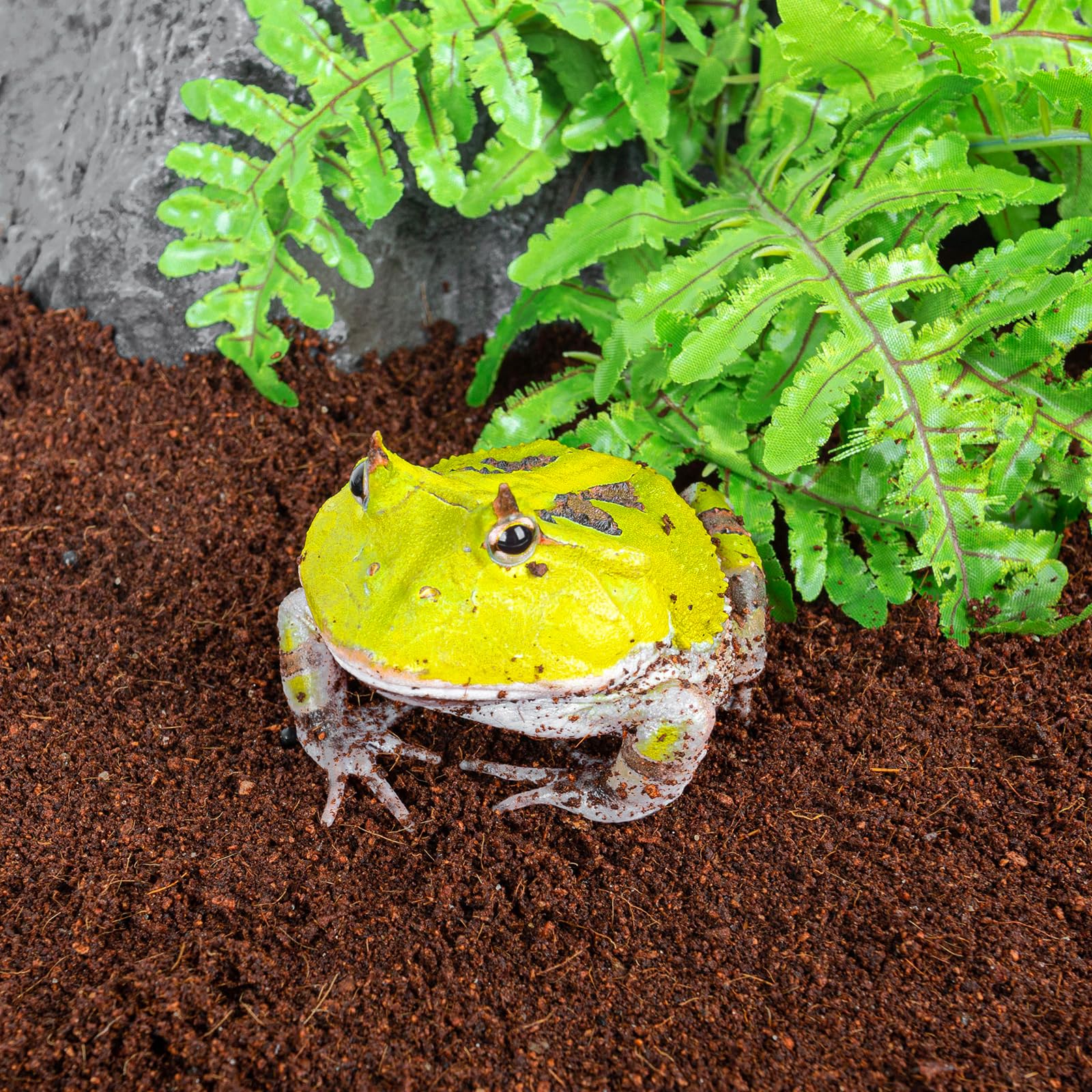 REPTI ZOO biodegradable y compostable, opción ecológica para jardines.