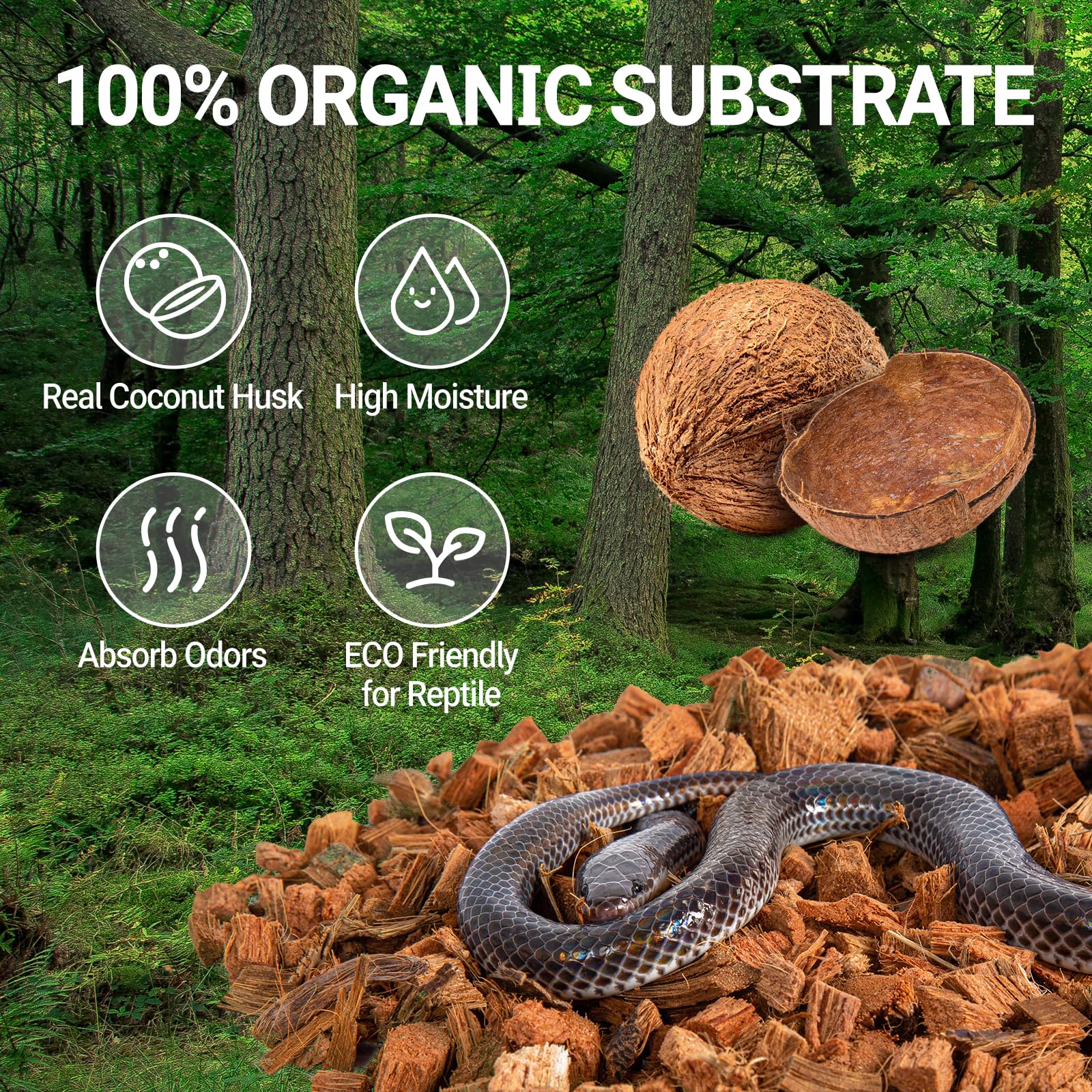 REPTI ZOO cama de coco para reptiles en terrario.