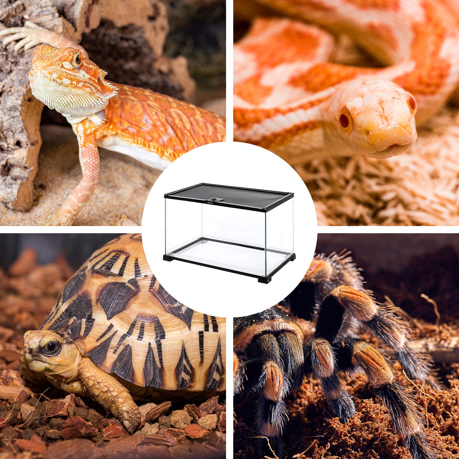 REPTI ZOO embalaje resistente con reemplazo gratuito de piezas