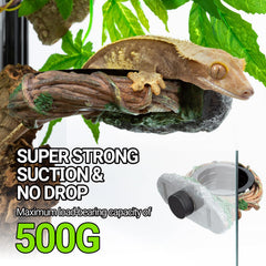 REPTI ZOO enrejado decorativo natural, simula hábitat real para mejor ocultamiento.