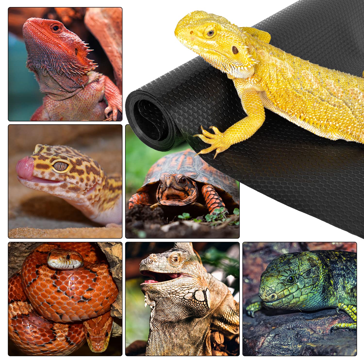 Tapete REPTI ZOO para gecko leopardo: limpieza sencilla del terrario