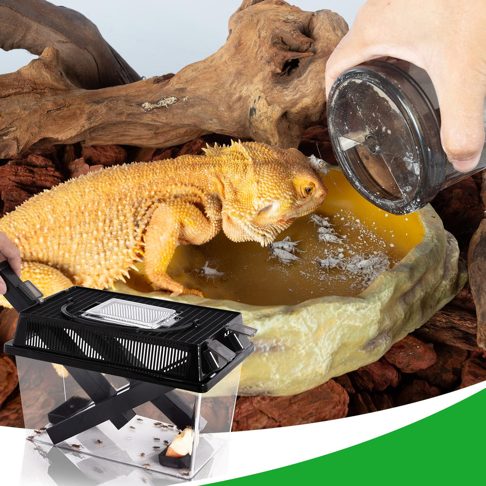 REPTI ZOO Kit multifuncional para reptiles como dragón barbudo y geckos