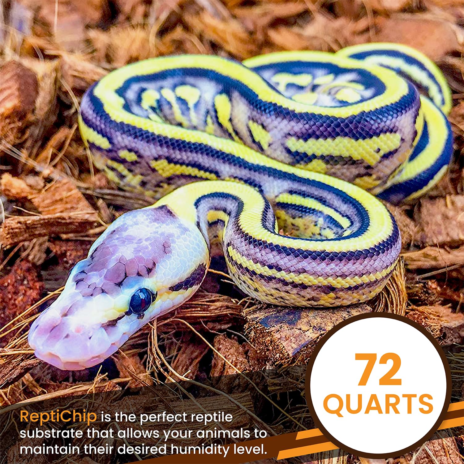 ReptiChip sustrato bioactivo para geckos y tortugas, versátil.