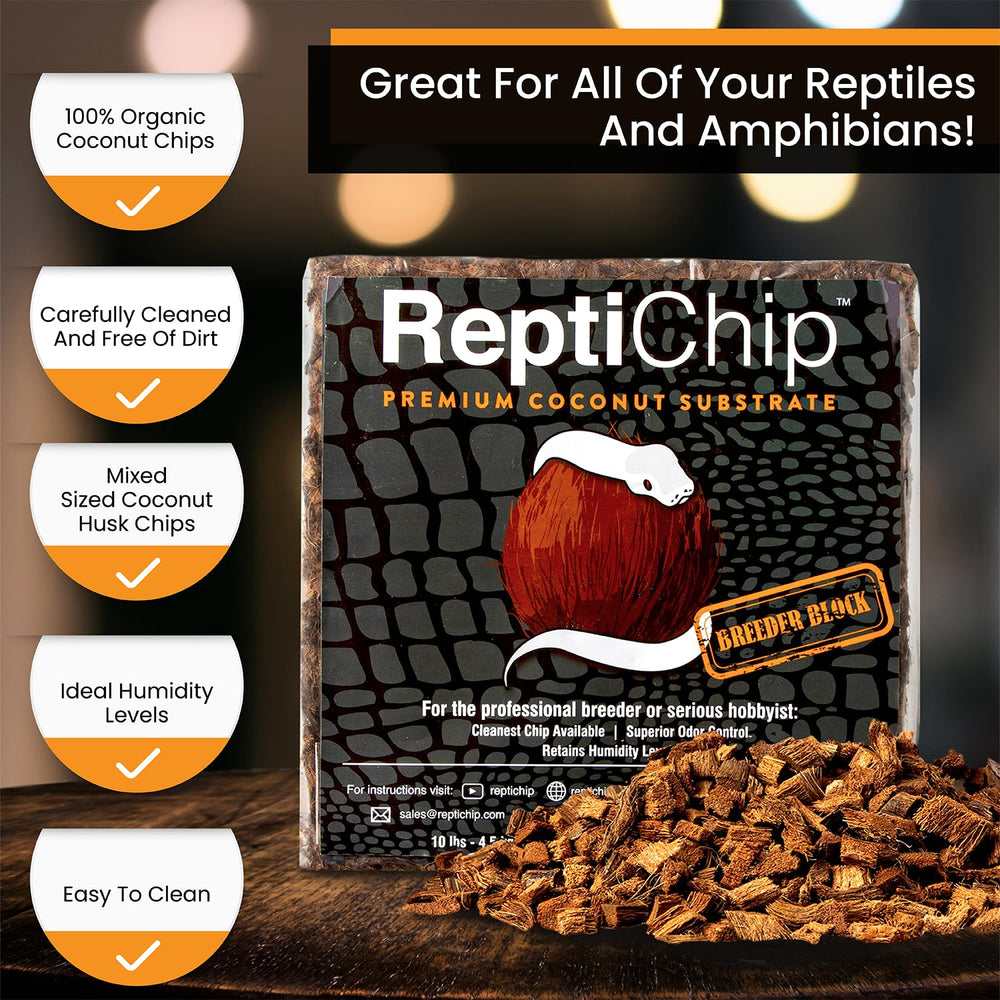 ReptiChip sustrato coco absorbe olores para terrarios limpios.