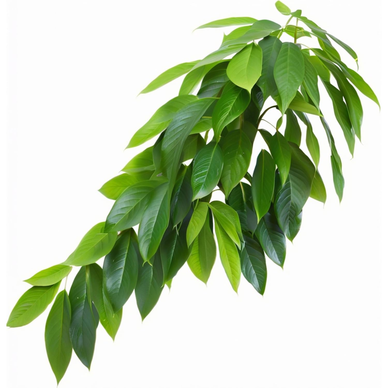 ReptiKing planta colgante para terrario, ideal para decorar y refugiar al reptil.