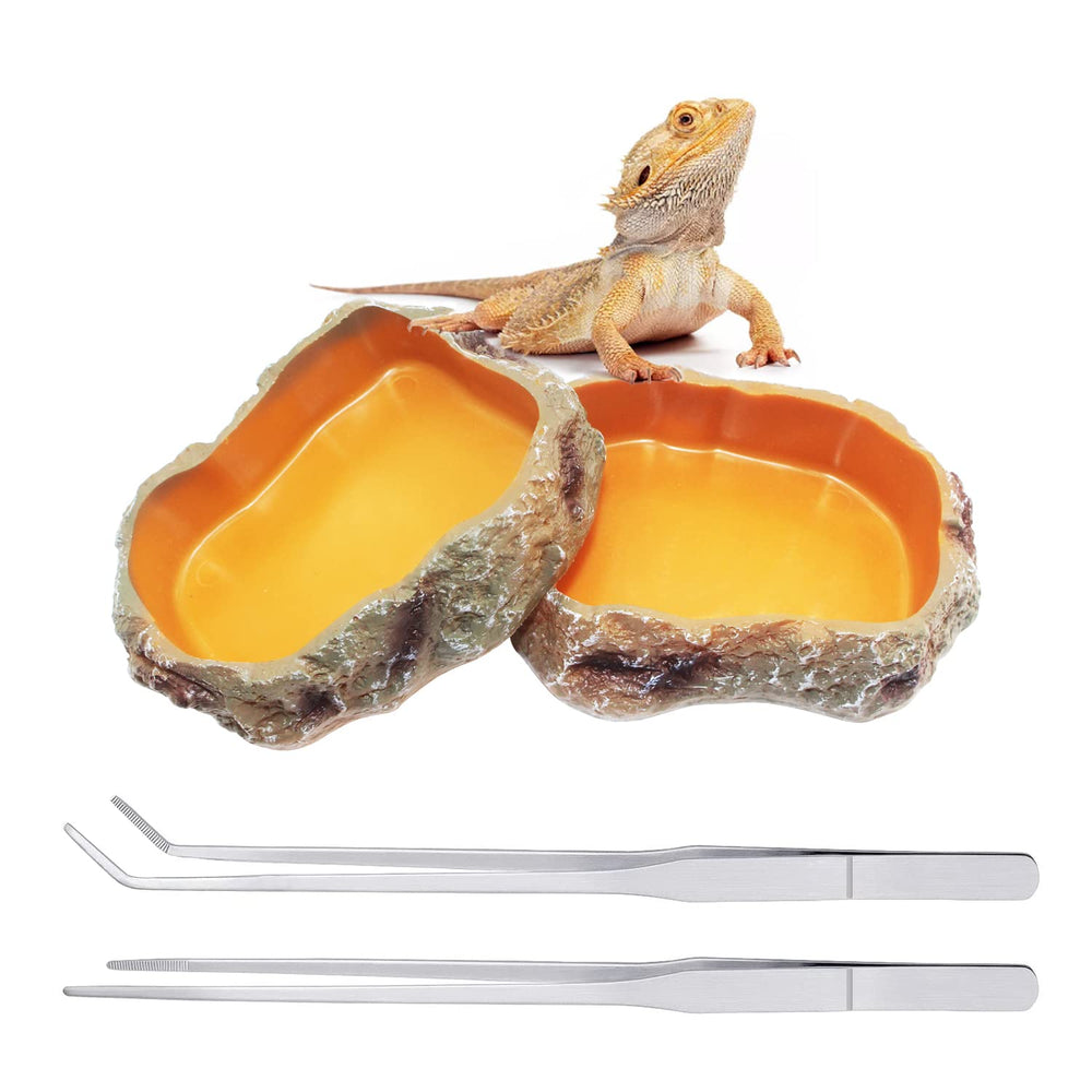 Reptile Growth cuenco comida reptil, ideal para alimentar con precisión.