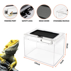 Reptile Growth Mini Terrarium – acceso de alimentacion facilita la alimentación.