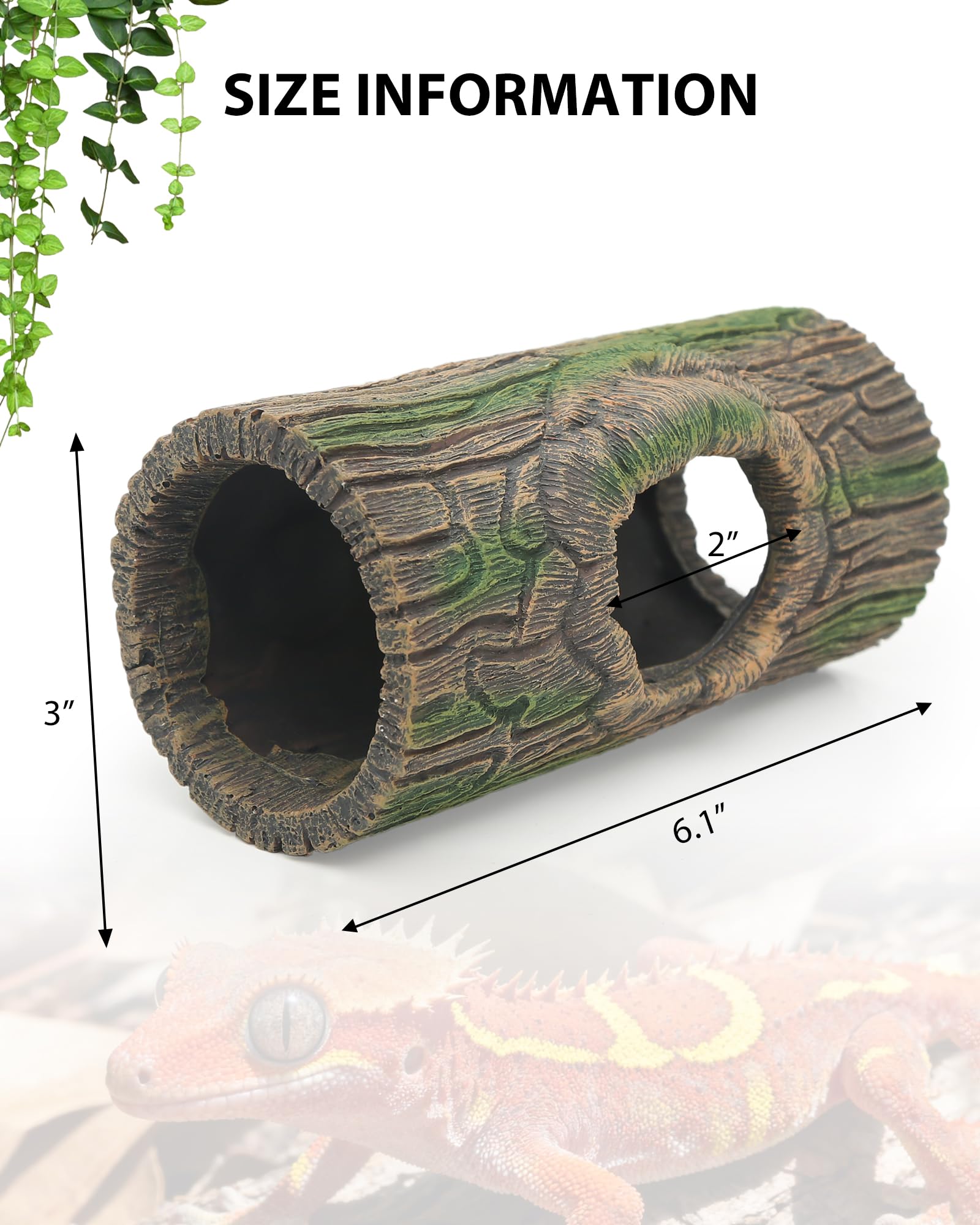 REPTITRIP destacado-terrario-plantado como complemento estético y funcional.