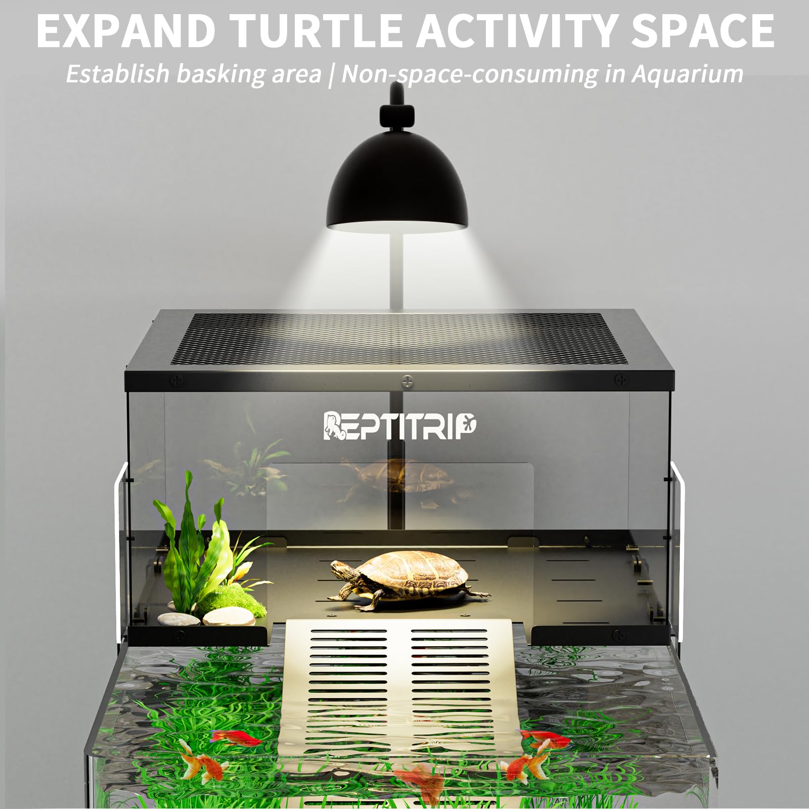 REPTITRIP superficie tortuga acero inoxidable 304 resistente a ambientes húmedos.
