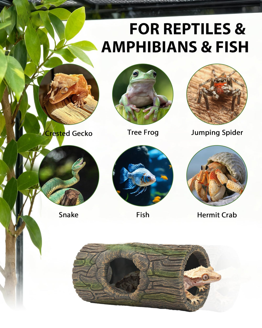 REPTITRIP uso-arboreos-anfibios para hábitats variados y versátiles.