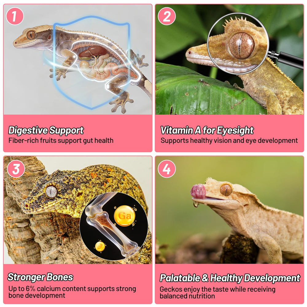 Preparación fácil: mezclar REPTIZOO FRIENDLY con agua para alimentar