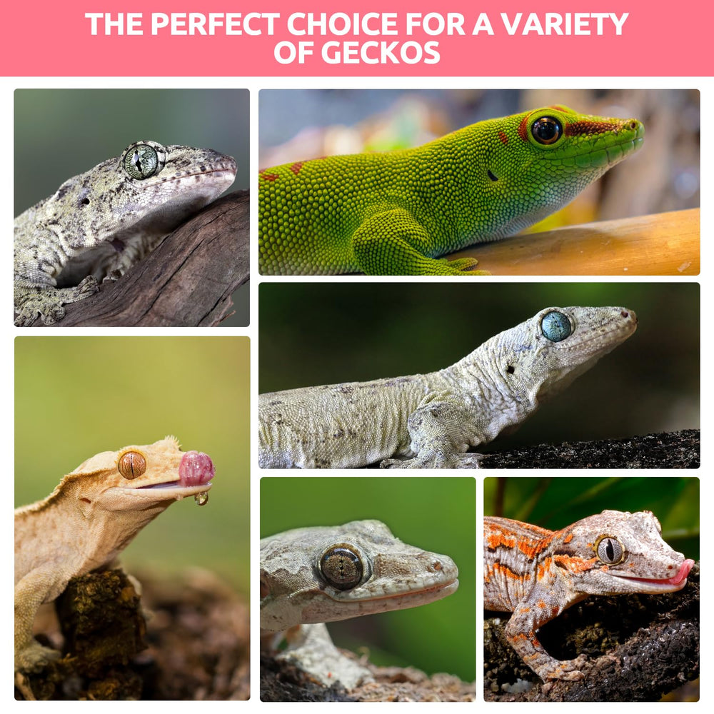 Servicio posventa REPTIZOO FRIENDLY con respuesta en 24 horas